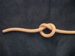 Overhand_Knot_3.JPG